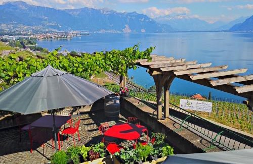 Chardonne House | Domaine du Burignon