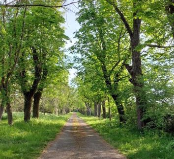 Puygaillard-de-Quercy Apartment | Domaine Rauly