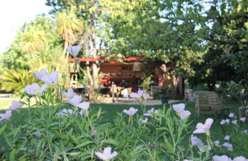 Meze House | Domaine Sesquier Mas d'exception Jasmin