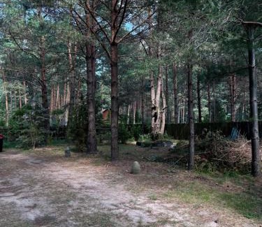 Nowogrod Resort | Domek całoroczny u Zosi