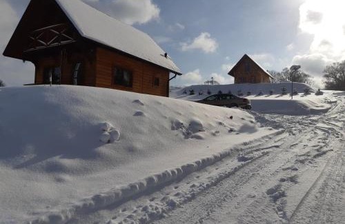 gmina Krempna Apartment | Domek na wzgórzu "WILK"