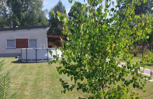 Konskie House | DOMEK PRZY LESIE koło Sielpi