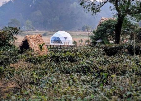 Samaguri Other | Domestay in Kaziranga