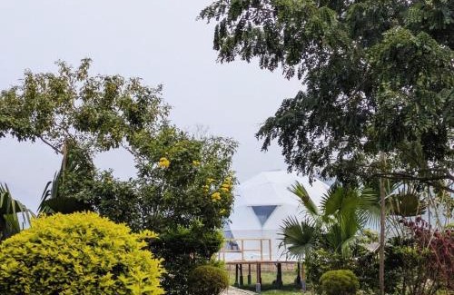 Samaguri Other | Domestay in Kaziranga