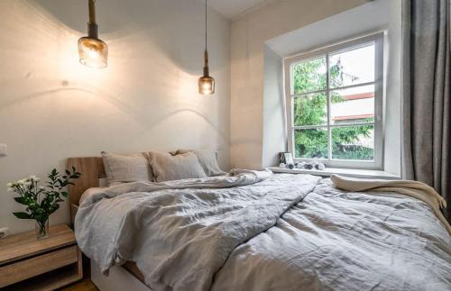 Old Town Apartment | Domillion new modern 2bdr City Hall apt D1117B