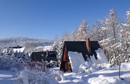 Baligrod House | Domki pod Kiczerą w Baligrodzie, Bieszczady