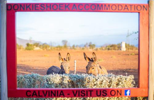 Calvinia House | Donkieshoek Accommodation & Campsite, Calvinia