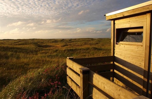 Langeoog Cottage | Double room, attic, shower/WC, non-smoking - Pension Friedrich Voss