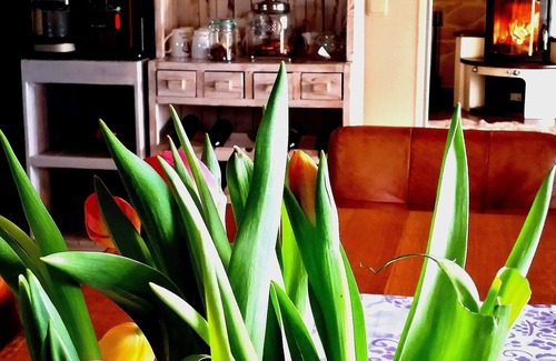 Steenfeld Apartment | Double room for 2 guests with 15m² in Steenfeld (131057)