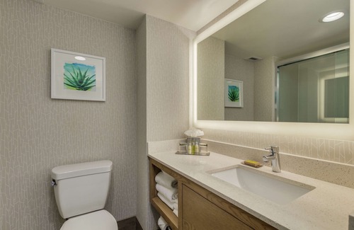 Chandler Hotel | DoubleTree by Hilton Phoenix Chandler