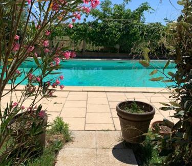 Servian House | Douceur de Vignes