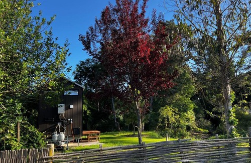 Ngatimoti House | Dove Creek Tiny House