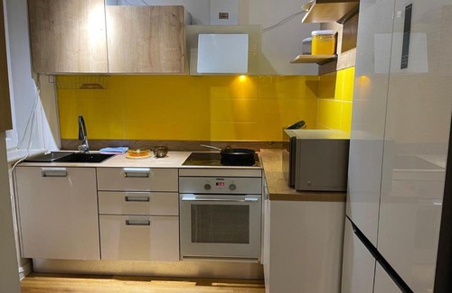 Downtown Ulaanbaatar Apartment | Downtown Huge Windows & Terrace