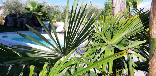 La Spezia House | Dreams Guest House