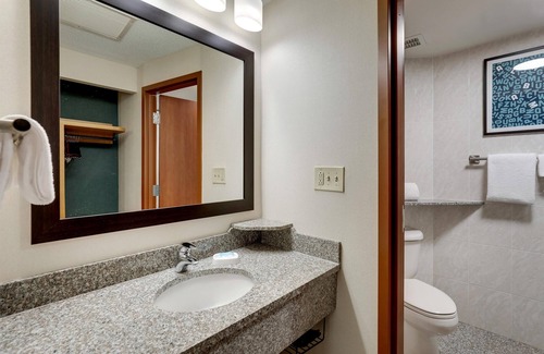 Gunter Afs Hotel | Drury Inn & Suites Montgomery