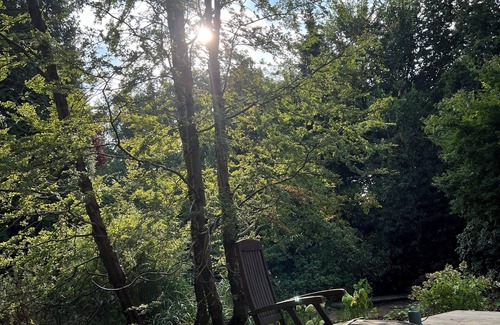 Worpswede House | DTV* PARADISO WORPSWEDE Water lily pond, natural pool, sauna - up to 8 people