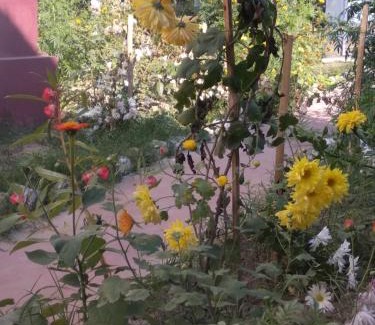 Jorhat Ski Chalet | "Dulce Hogar" homestay