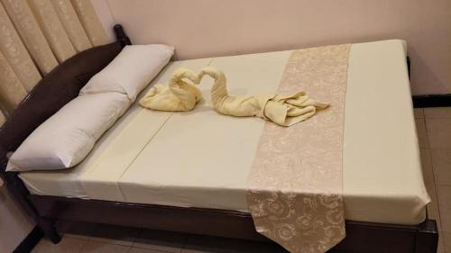 Toledo City Hotel | Dumdum Medical Plaza and Residences
