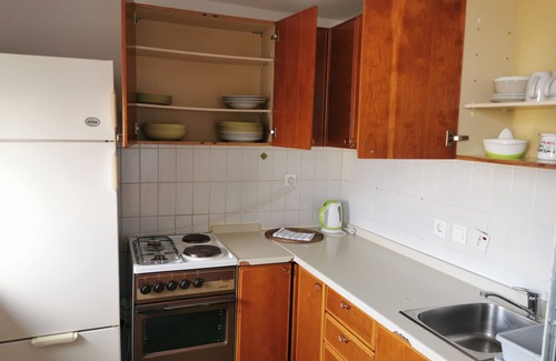 Bezigrad District Apartment | Dunajska Apartment