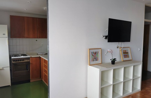 Bezigrad District Apartment | Dunajska Apartment