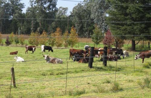 Mooirivier Bed & Breakfast | Dunroamin Bed and Breakfast