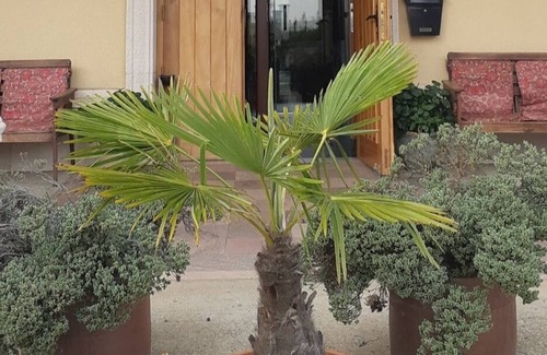 Palacios de la Valduerna Apartment | Duplex/apart. en el Tramo de La Via de la Plata Entre Astorga y La Bañeza