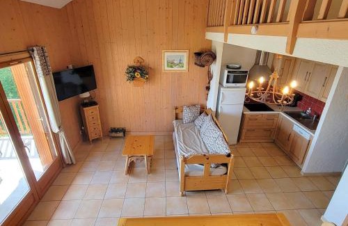 Saint-Michel-de-Chaillol Apartment | Duplex 8pers avec Balcon Sud, Cheminée, WIFI Gratuit - Animaux admis - Parking & Ménage en option - FR-1-393-63