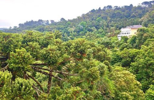 Campos do Jordao Apartment | Duplex das Araucárias