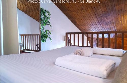 Pas de la Casa Apartment | Duplex Holidays Andorra