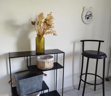 Saulxures-sur-Moselotte Apartment | Duplex- La Medelle