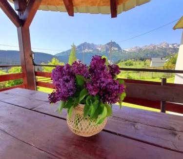 Pitomine Apartment | DURMITOR APARTMAN Pitomine