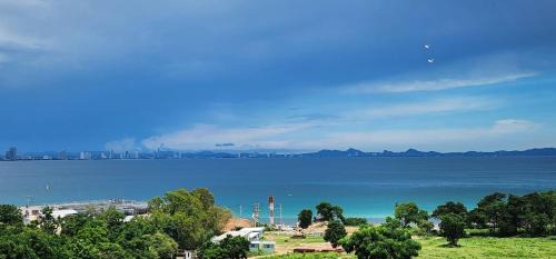 Pong Cabin | Duview room