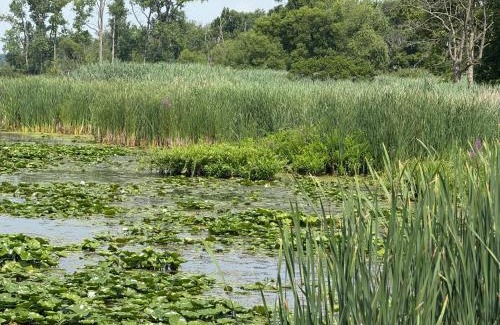 Amherstburg House | E&S Lake House Retreate&S Lake House Retreat