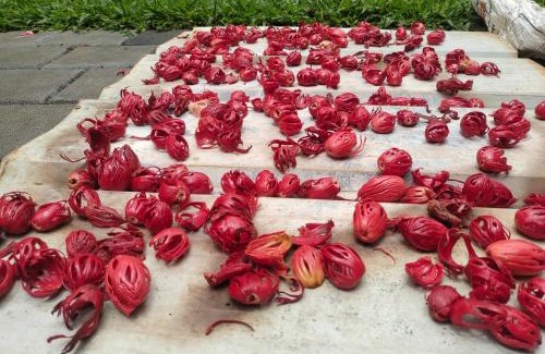 Devikolam House | EAST STAVANGER