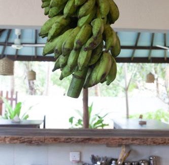 Pottuvil Division 2 House | East Surf Cabana