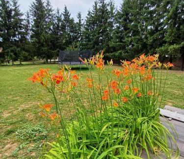 Mozsgo Bed & Breakfast | Ebner Pince - Panzió