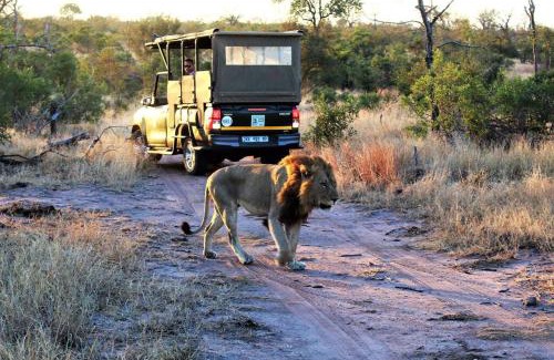 Buffelspruit House | Ebony House - Kruger National Park