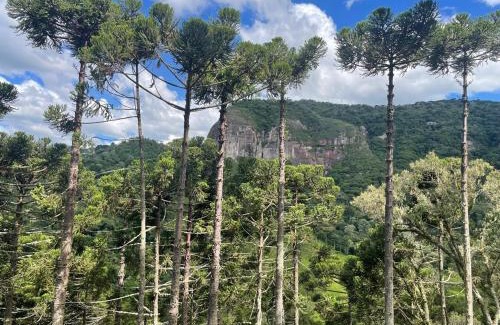 Urubici Ski Chalet | Eco Cabanas Kaapuã - Guaraipo