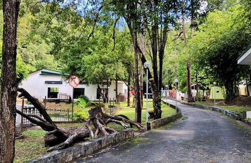 Teluk Bahang Hotel | Eco Capsule Resort at Teluk Bahang, Penang