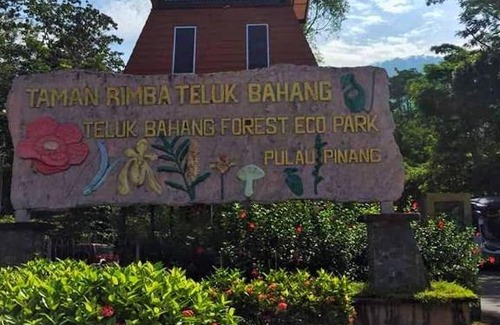 Teluk Bahang Hotel | Eco Capsule Resort at Teluk Bahang, Penang