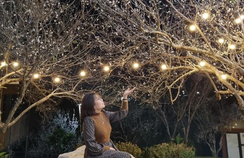 Moc Chau Bed & Breakfast | Eco House Mộc Châu