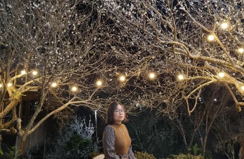 Moc Chau Bed & Breakfast | Eco House Mộc Châu