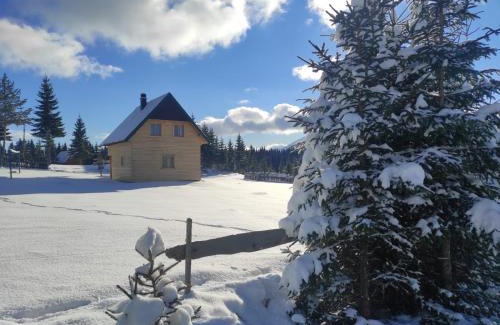 Zabljak Villa | Eco house