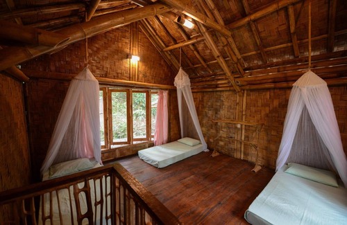 Bukit Lawang Hotel | Ecolodge Bukit Lawang