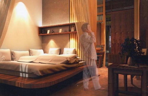 Bukit Lawang Hotel | Ecolodge Bukit Lawang