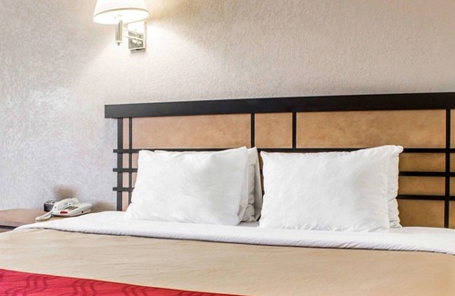 Colonie Hotel | Econo Lodge Inn & Suites Colonie Center Mall