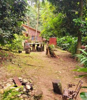 St. Ann's Bay Cabin | Ecoscape Jamaica - Lavish 1-br cottage by the river