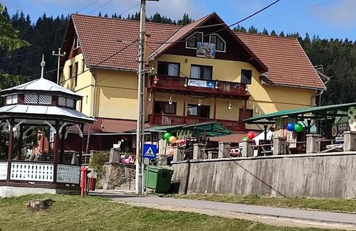 Borsec House | Edelweis Floare de Colt