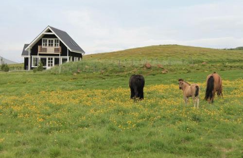 Akureyri House | Efri-Rauðilækur in Hörgársveit