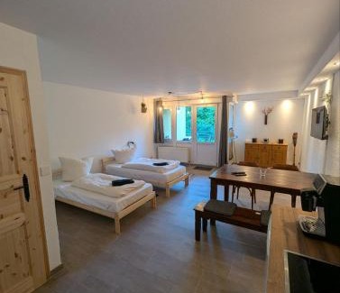 Sonnenberg House | Eigenes ruhiges Appartement mit Küche und Terasse Chemnitz